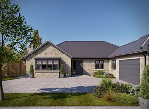 Photo 22- click for photo gallery